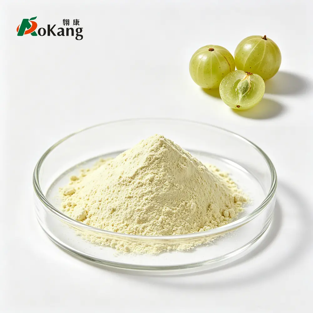 Phyllanthus Emblica Powder